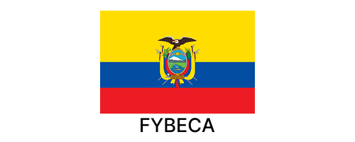 Fybeca flag