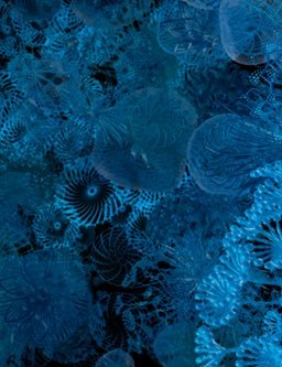 microbioma img